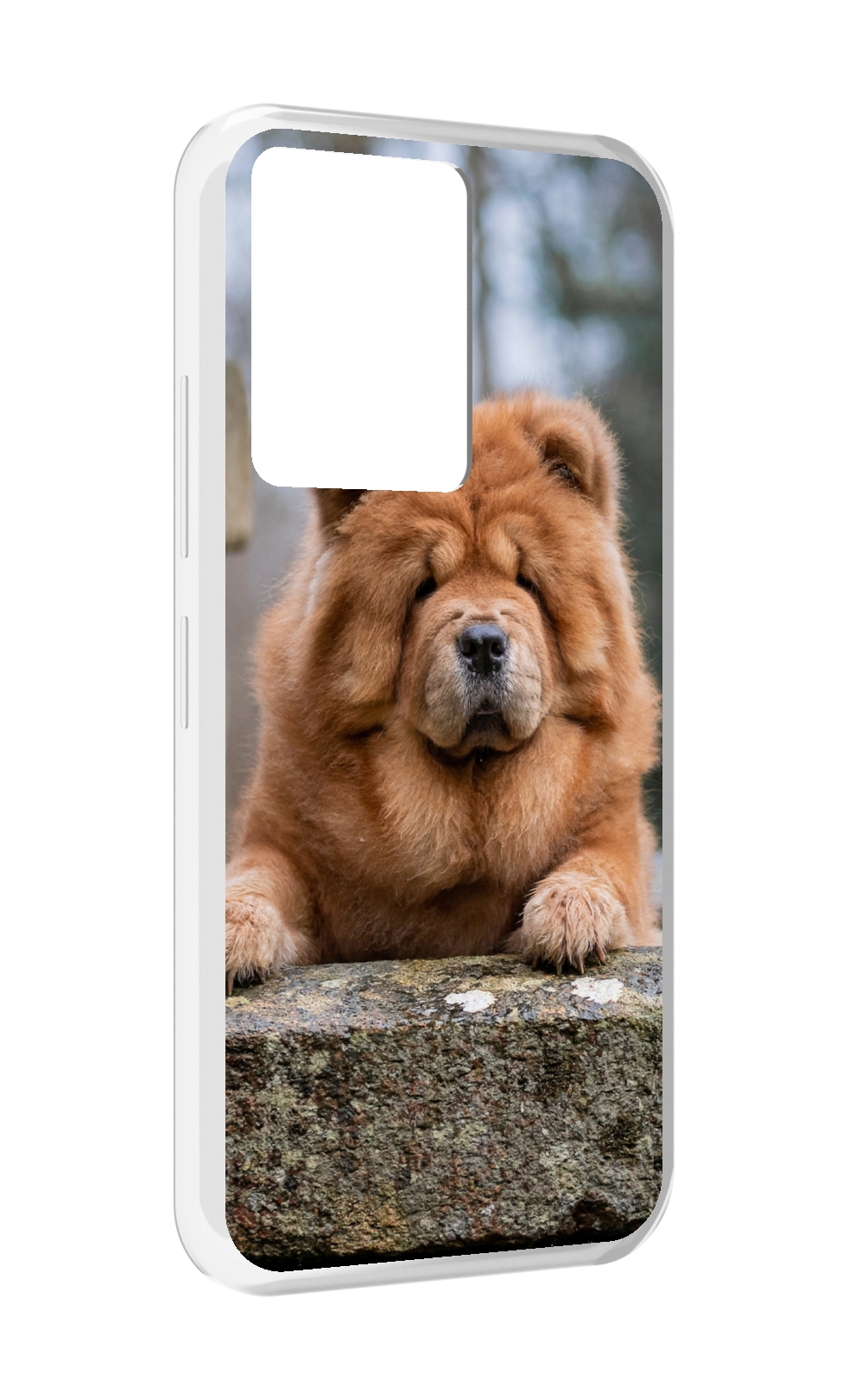 

Чехол MyPads чау чау для Infinix Note 12 5G X671 / Note 12 Pro 5G, Прозрачный, Tocco