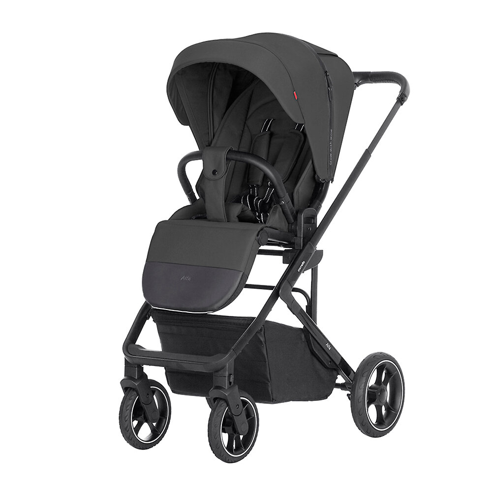 Прогулочная коляска Carrello Alfa, цвет Graphite Grey