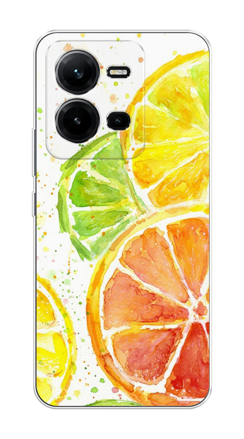 

Чехол на Vivo V25/V25e "Цитрусовые", Белый;желтый;красный;зеленый, 267650-1