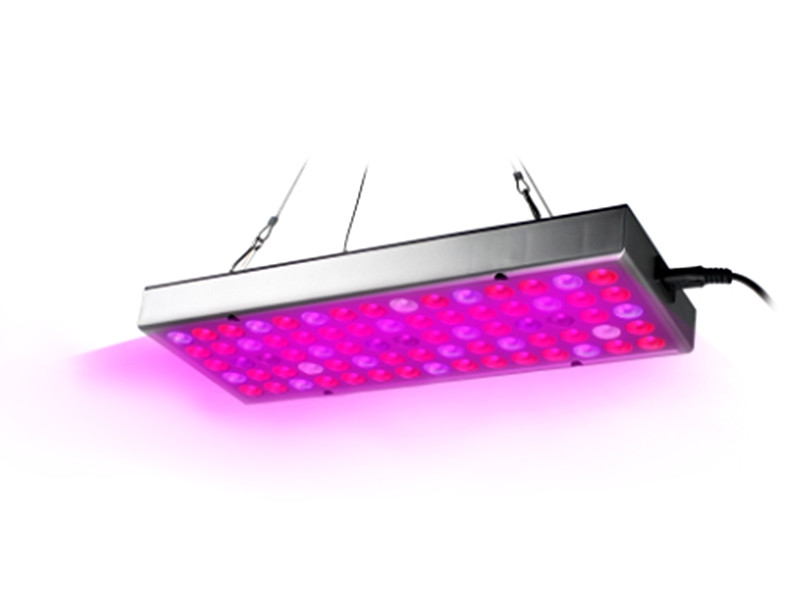 

Светодиодный фитосветильник R-Led Полный спектр 25W