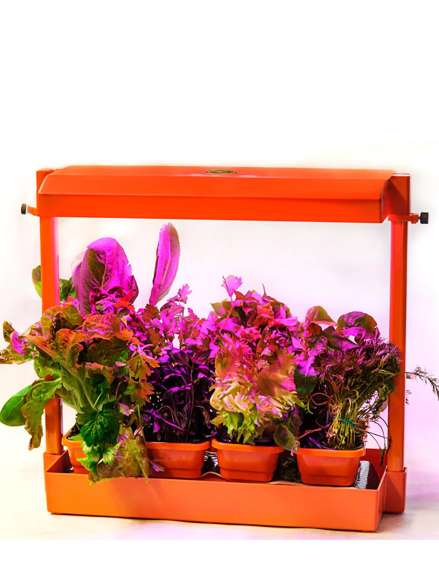 фото Домашний мини-огород «волтера-фито» фулспектр цвет оранжевый