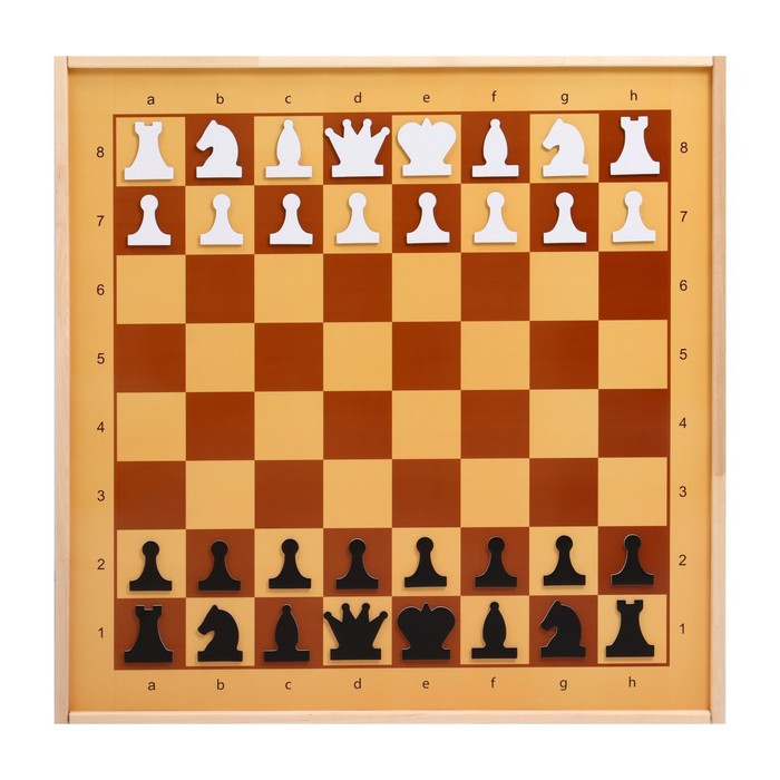 Демонстрационные шахматы магнитные(игровое поле 73х73 см, фигуры полимер, король h=6.3 см) нарды магнитные поле 20 × 20 см в коробке