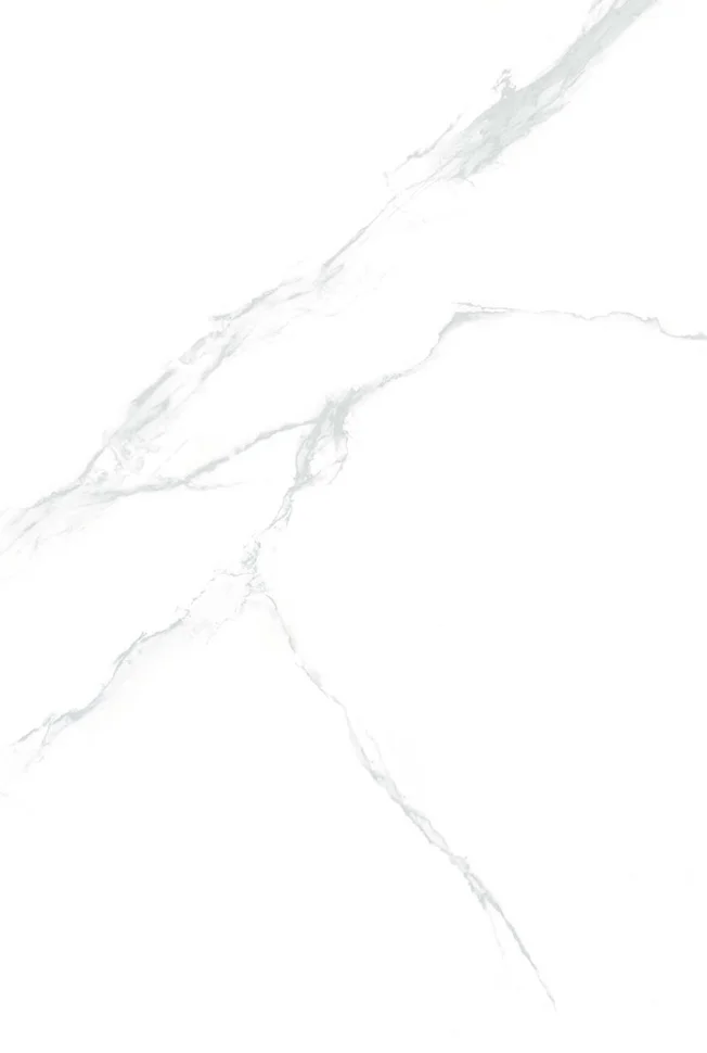 фото Керамогранит aleyra neo calacata silver, 600x1200x9мм, full lap aleyra-ceramics