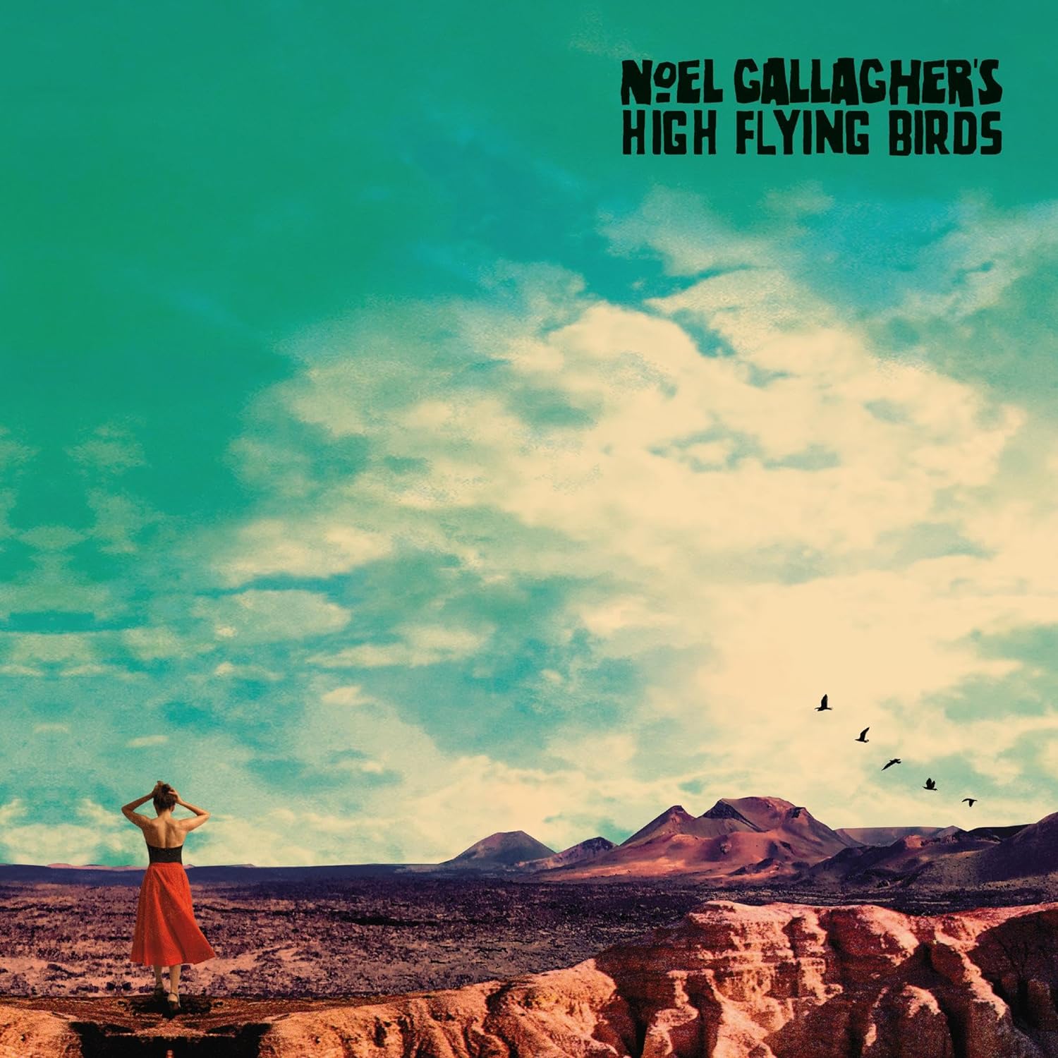 

Gallaghers Noel High Flying Birds Who Built The Moon (LP)