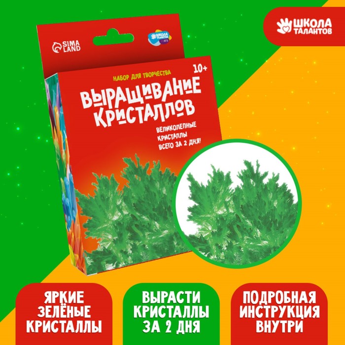 

Набор для творчества «Лучистые кристаллы», цвет зелёный, Зеленый