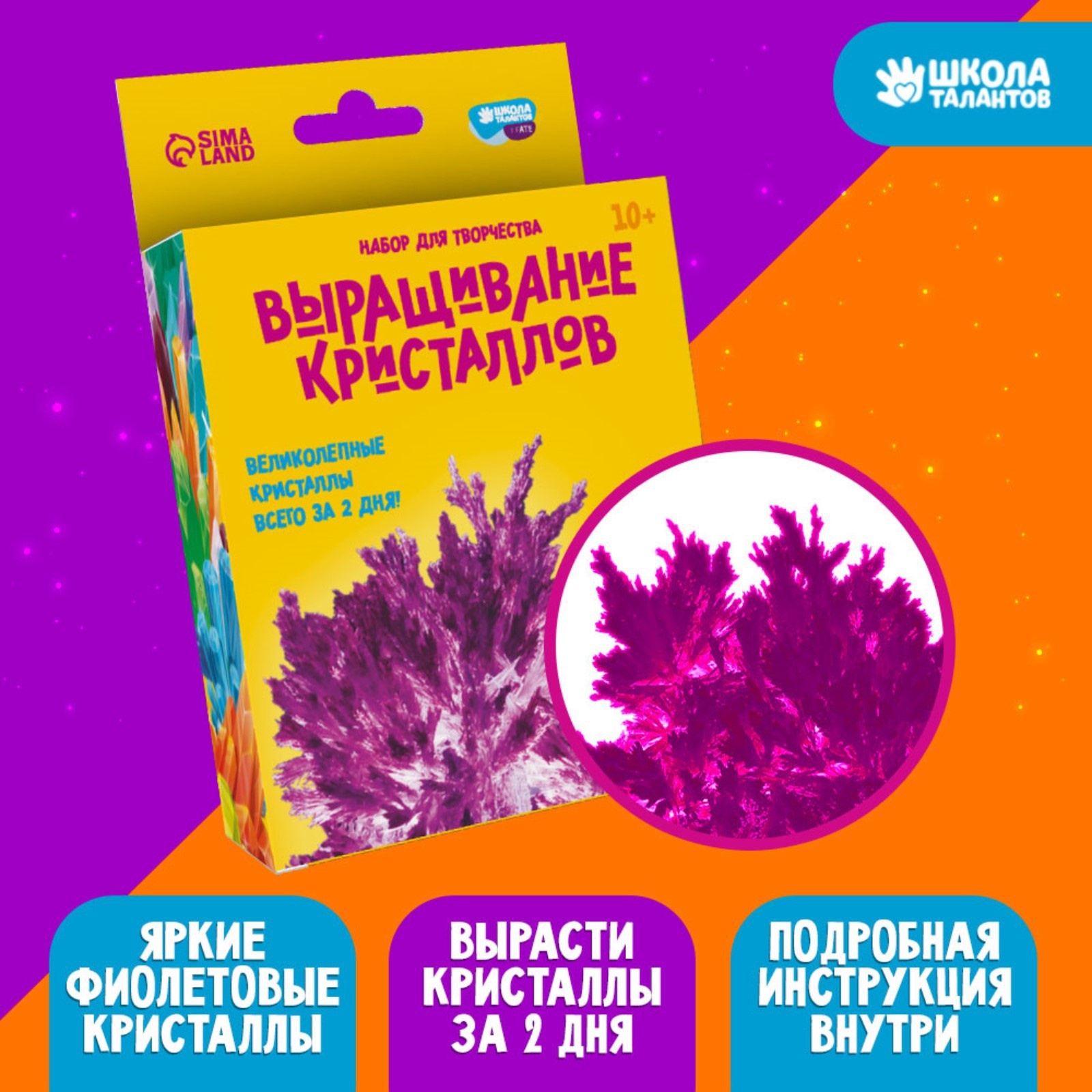 Выращивание кристаллов Школа талантов, Опыты. Лучистый кристалл, цвет фиолетовый