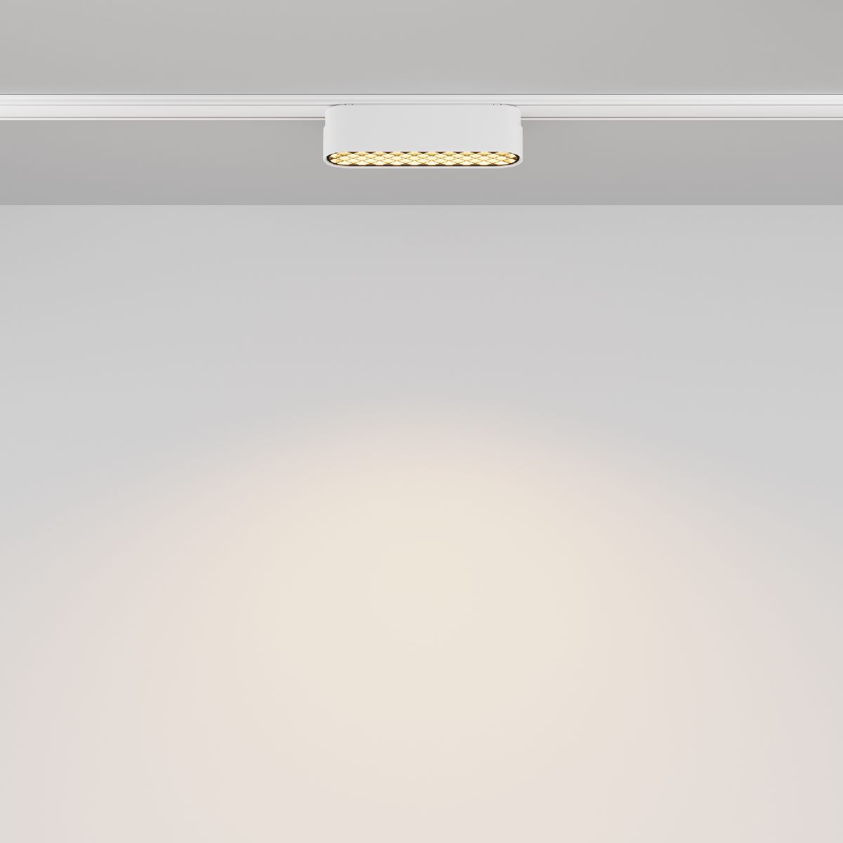 

Трековый магнитный светильник Maytoni Basis Grid TR084-1-6W3K-W, LED, 6W
