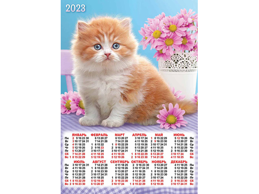 Кошечка 2023