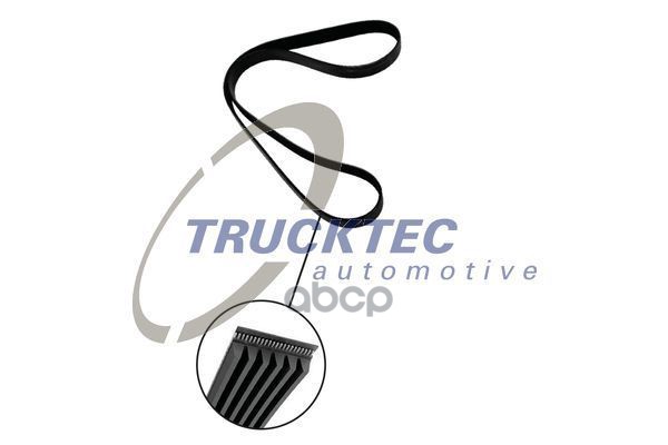 

Ремень Поликлиновый TRUCKTEC 0219315