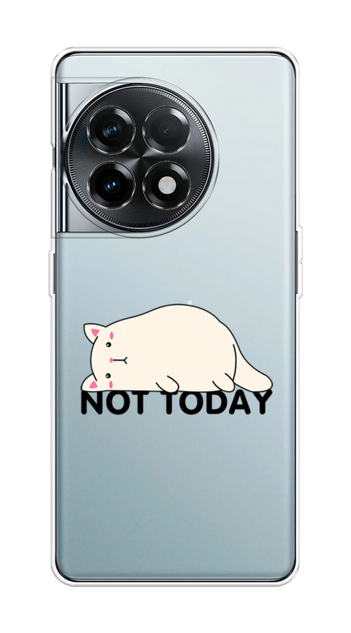 

Чехол на OnePlus 11R "Cat not today", Белый;розовый;черный, 154150-1