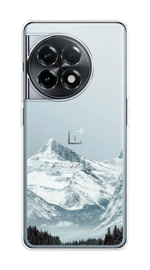 

Чехол на OnePlus 11R "Горы арт 1", Белый;зеленый, 154150-1