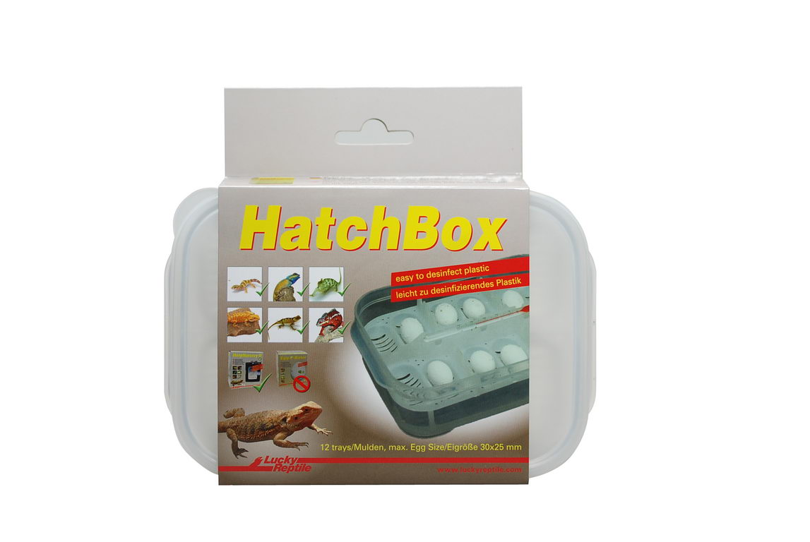 фото Контейнер для инкубации яиц lucky reptile hatchbox, 17х11см