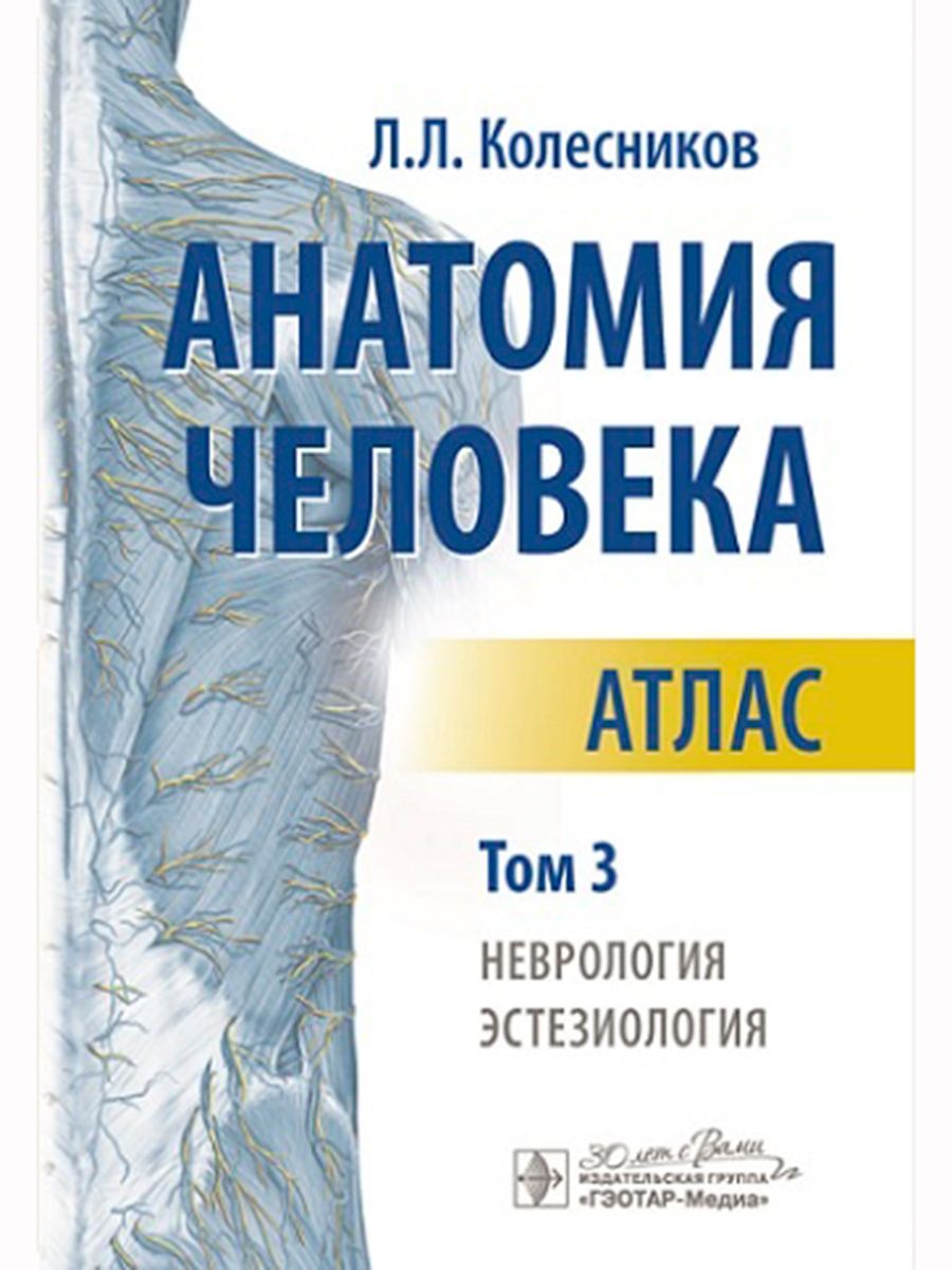 

Анатомия человека Атлас в 3-х томах Неврология, эстезиология Том 3