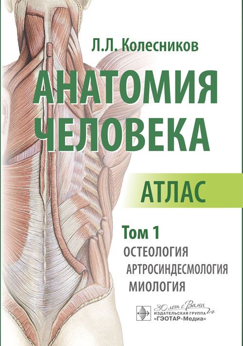 

Анатомия человека Том 1 Остеология, артросиндесмология, миология Скелет человека