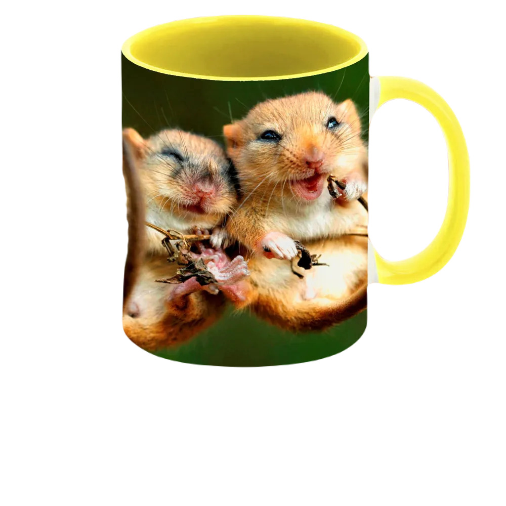 

Кружка CoolPodarok Две мышки
