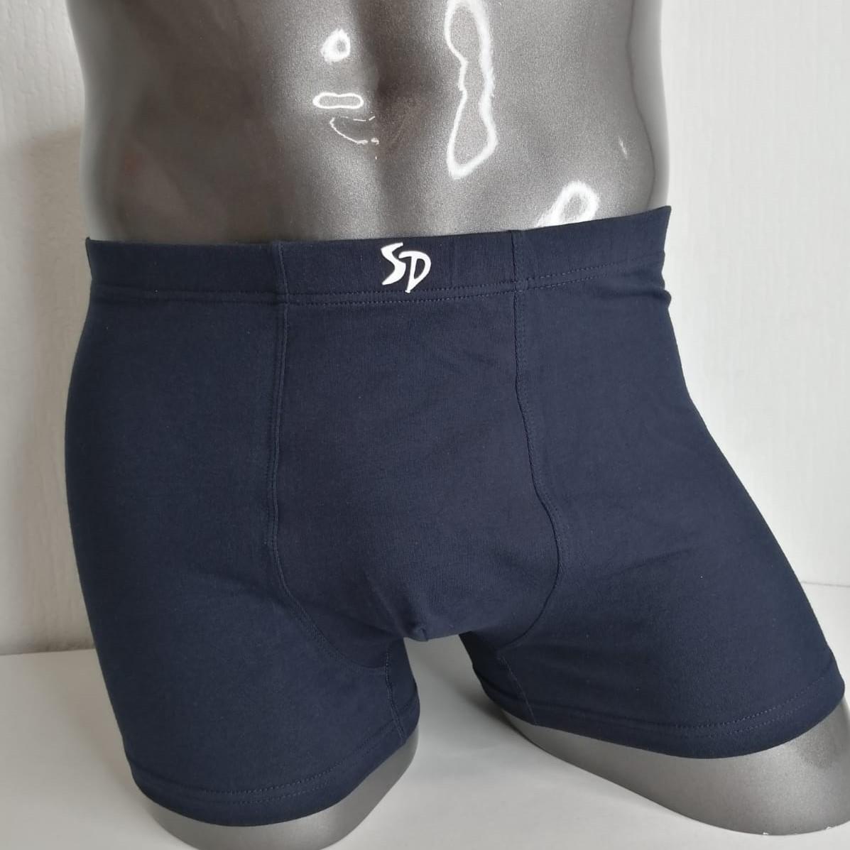 

Боксеры мужские Sergio Dallini SD2061 синее M, SD2061