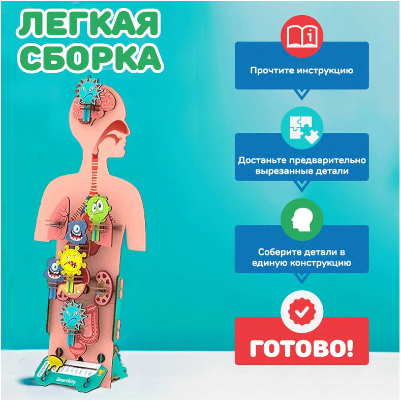 Конструктор Smartivity Человеческое Тело SMA1222