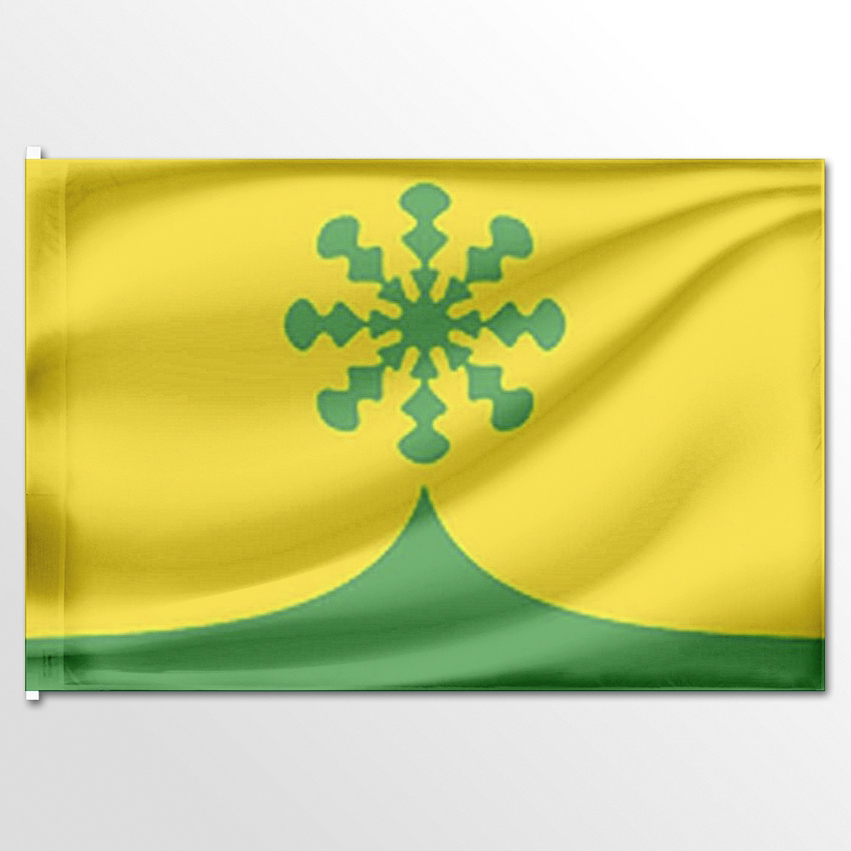 

Флаг ЦТП ФЕНИКС Кайнлыкского сельского поселения 135x90 см, 6622-135x90