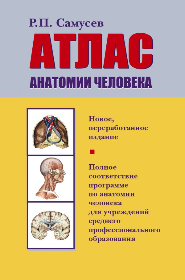 

Атлас анатомии человека
