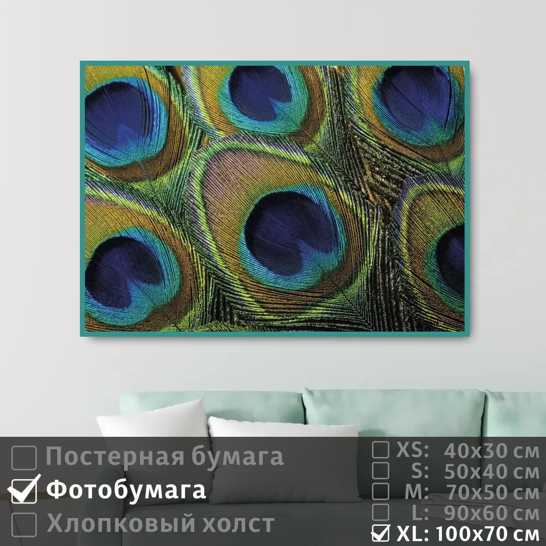 

Постер на фотобумаге ПолиЦентр Перья павлина 100х70 см, ПерьяПавлина1
