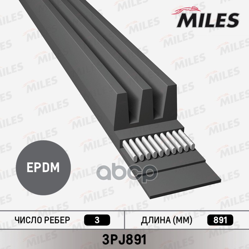 

Ремень П/К Miles арт. 3PJ891