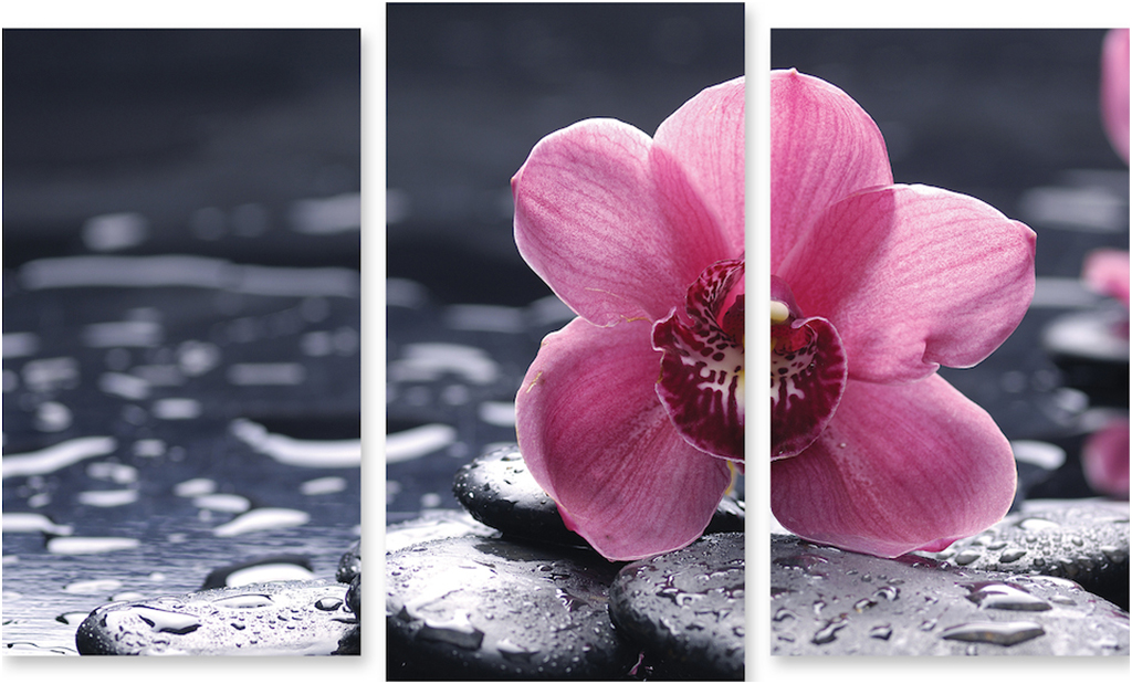 

Картина модульная на холсте Модулка Орхидея 150x95 см, 141