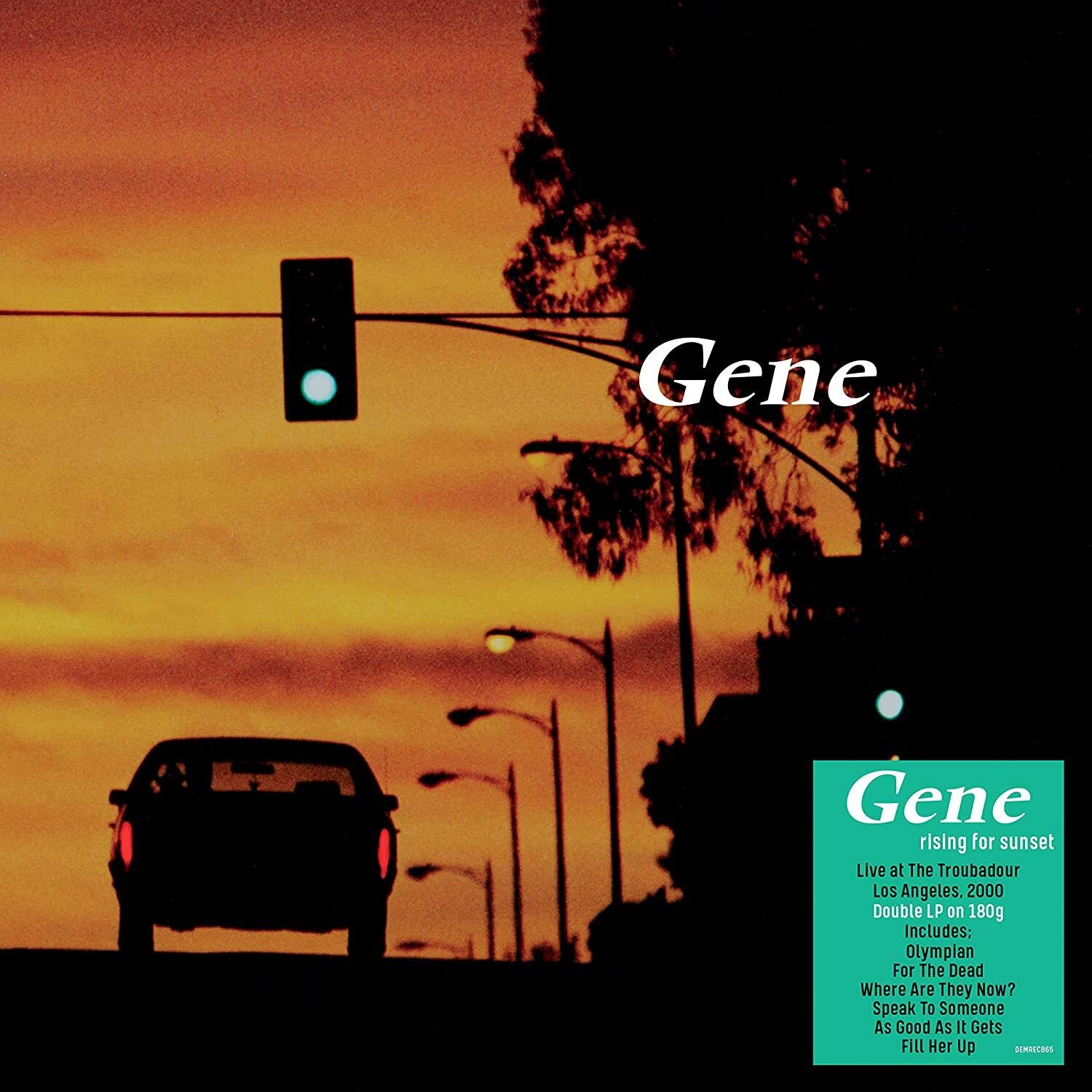 Gene Rising For Sunset