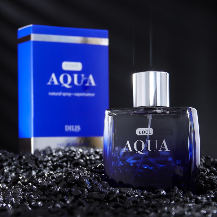 

Туалетная вода мужская Cool Aqua, 100 мл