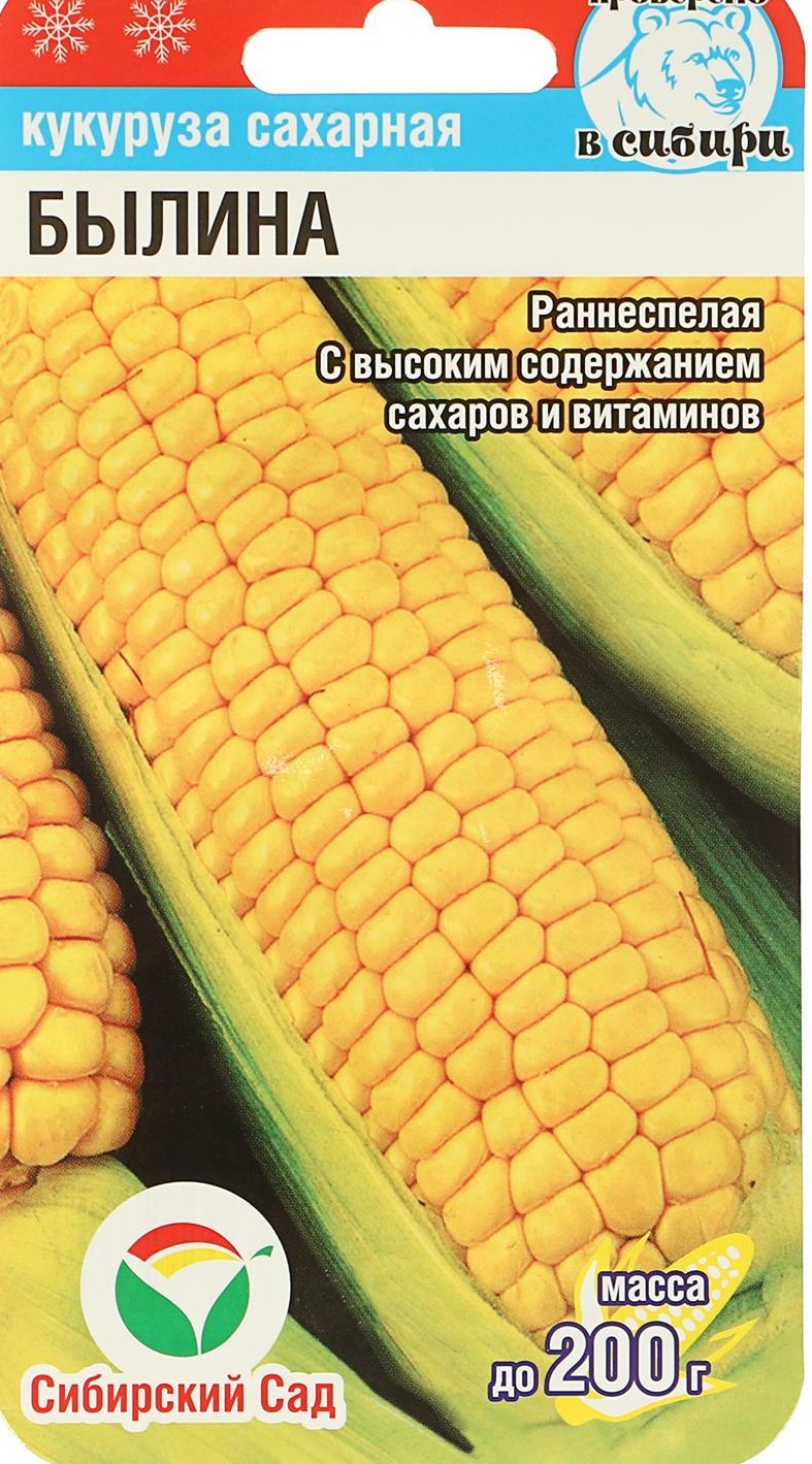 

Семена кукуруза Былина Сибирский сад 52943 1 уп., Кукуруза Былина 6шт. (Сиб.Сад)