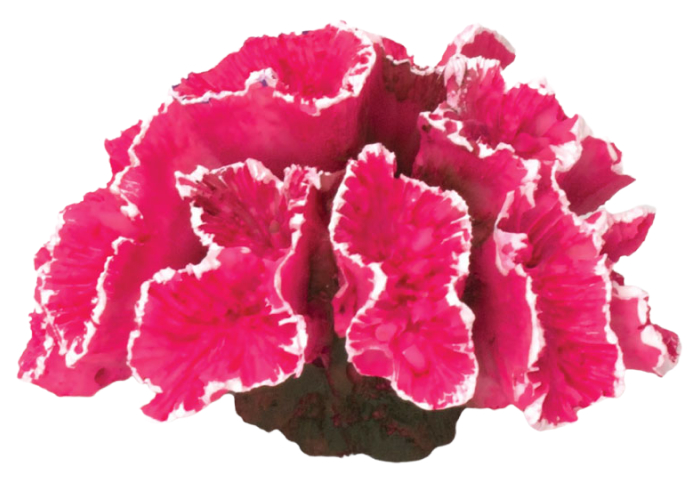 Коралл искусственный для аквариума Laguna Aqua Кауластрея розовая 70x50x45 мм