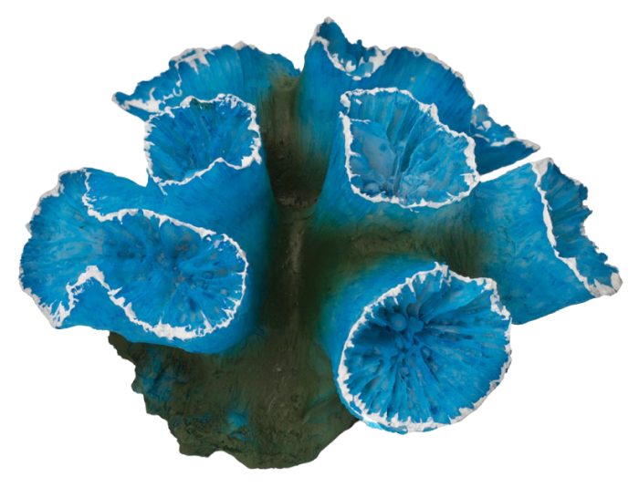 Коралл искусственный для аквариума Laguna Aqua Кауластрея синяя 90x85x50 мм