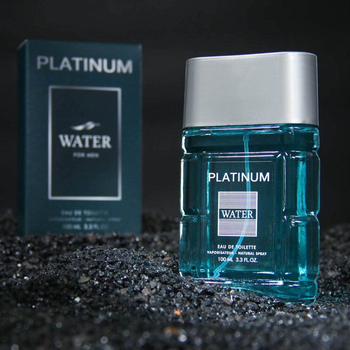 Туалетная вода мужская Platinum Water, 100 мл