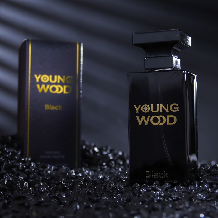 Туалетная вода мужская Young Wood Black, 100 мл