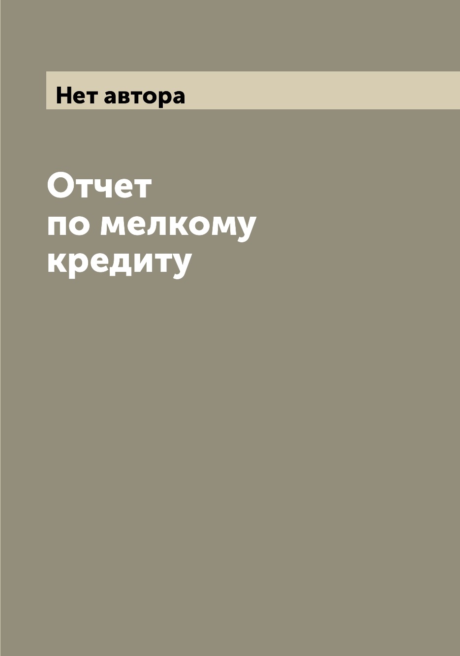 

Книга Отчет по мелкому кредиту