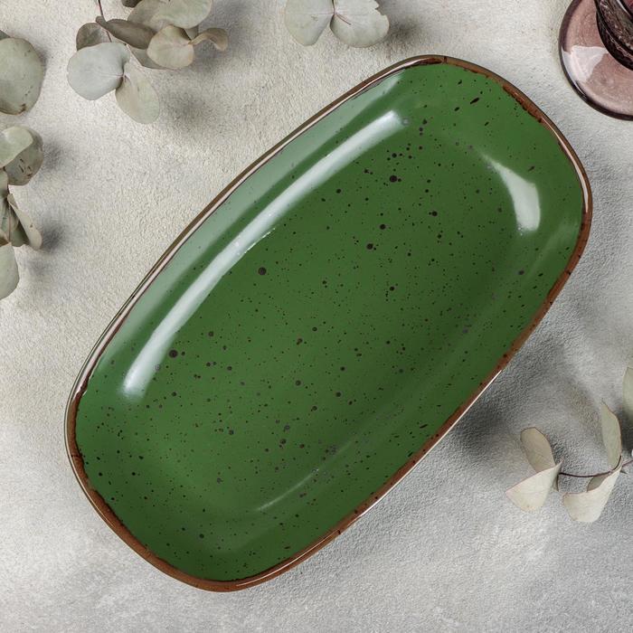 

Блюдо Punto verde, 29,5×17 см, Посуда из фарфора «Punto verde»
