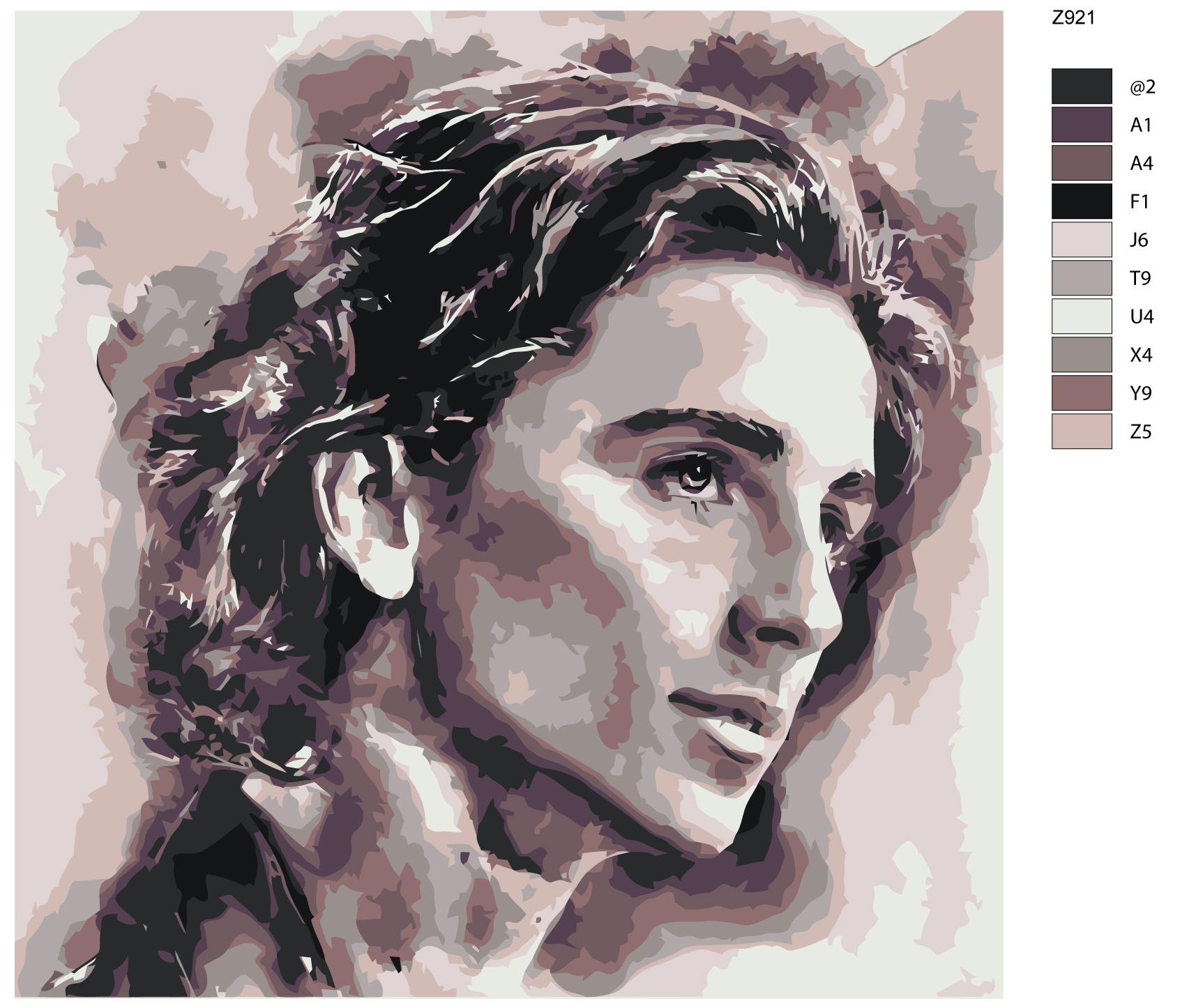 

Картина по номерам BRUSHES-PAINTS Z921, Тимоти Шаламе