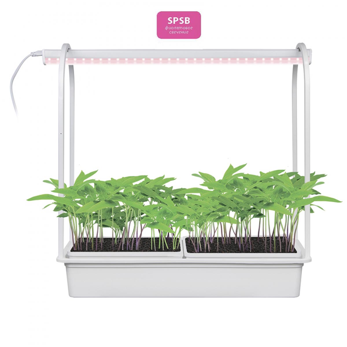 

Светодиодный светильник Uniel для растений Minigarden ULT-P54-10W/SPSB IP20 White