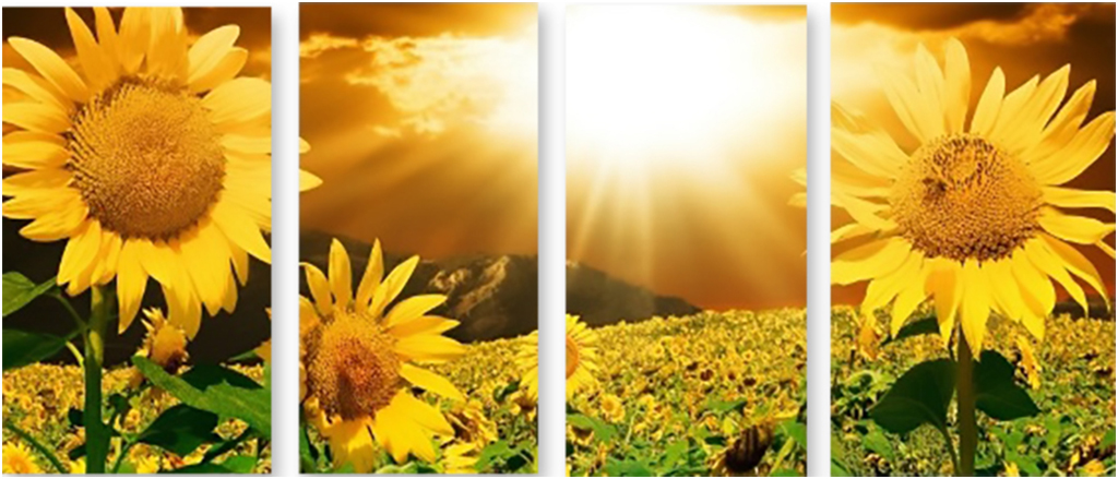 

Картина модульная на холсте Модулка Поле подсолнухов 120x54 см, 1674