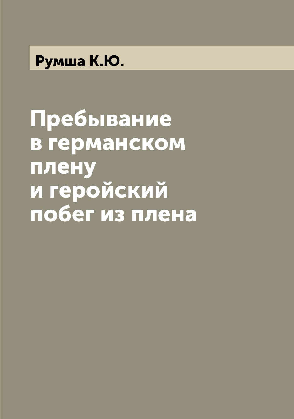 

Книга Пребывание в германском плену и геройский побег из плена