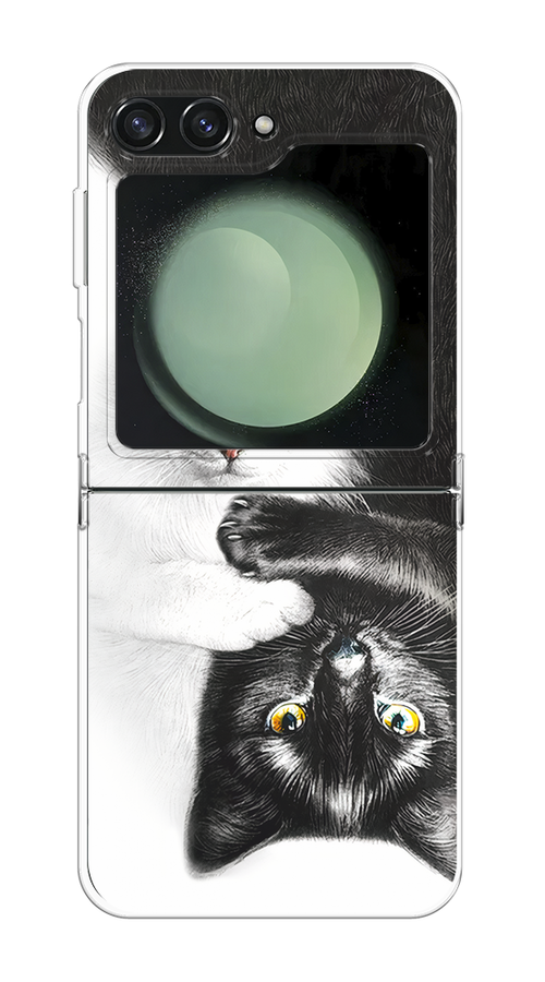 

Чехол на Samsung Galaxy Z Flip 6 "Коты Инь-Янь", Черный;белый;голубой, 2109750-1