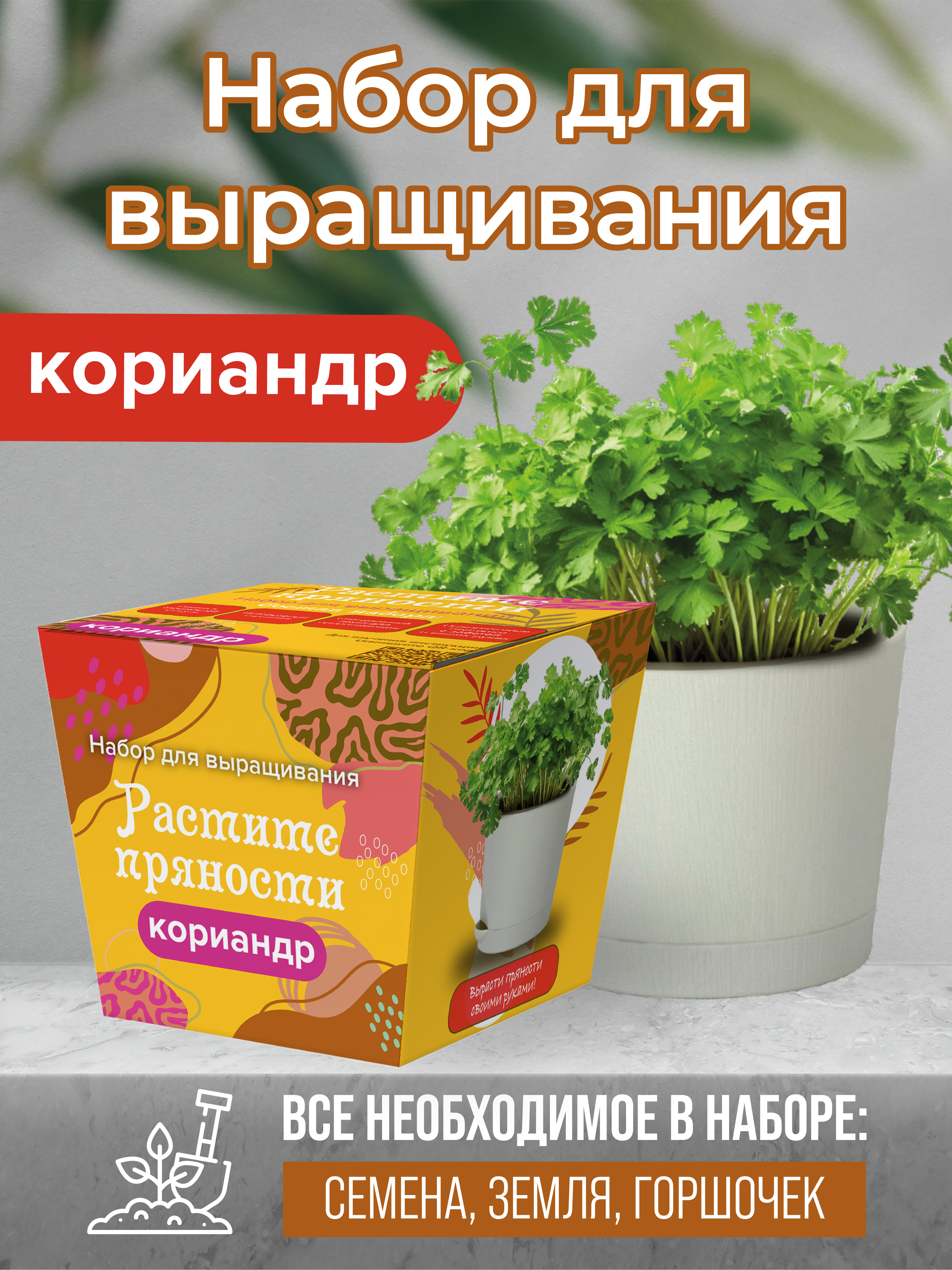 Набор для выращивания ЭкоКлуб  4610178672945 Кориандр