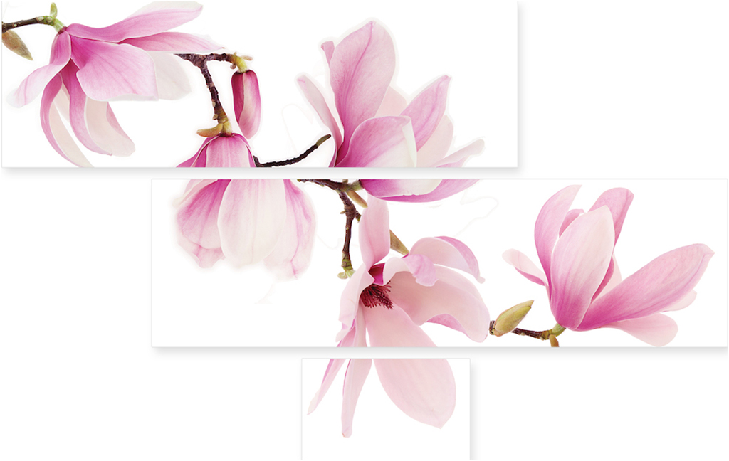 

Картина модульная на холсте Модулка Розовый цветок 170x469 см, 170
