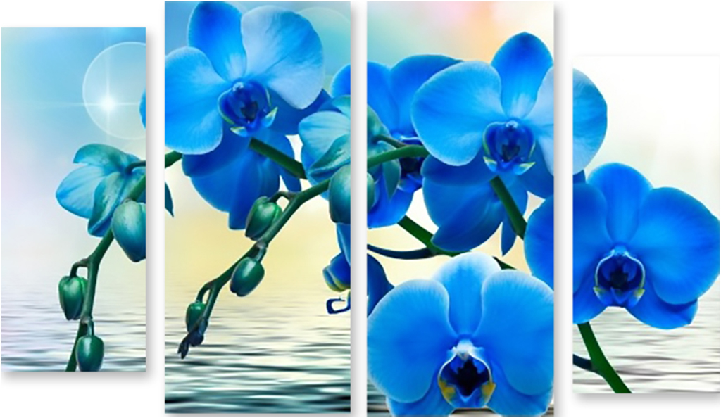 

Картина модульная на холсте Модулка Синие орхидеи 150x93 см, 1719