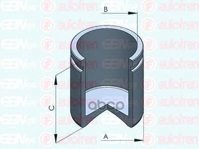 

Поршень Суппорта Seinsa Autofren арт. D025413