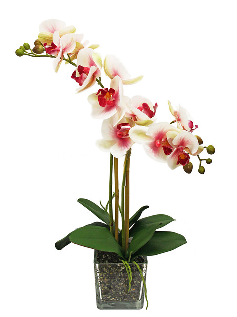 фото Искусственные растения орхидея gerard de ros