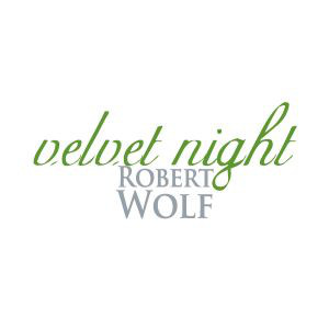 

Robert Wolf- Velvet Night (1 CD)