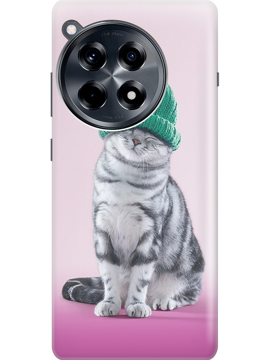 

Силиконовый чехол на OnePlus 12R с рисунком "Кот в зеленой шапке", Розовый;серый, 20012110