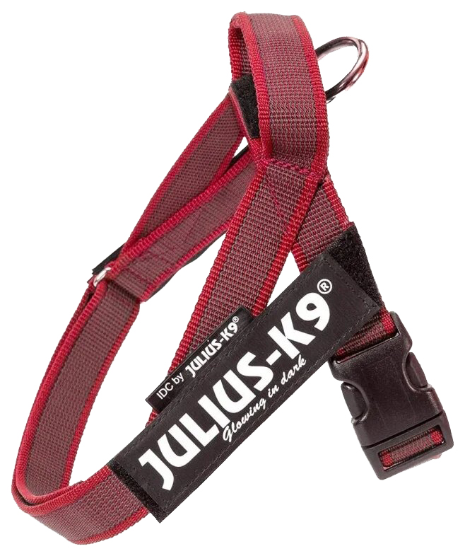 Шлейка для собак Julius-K9 Color & Gray XS красная, 40-49см