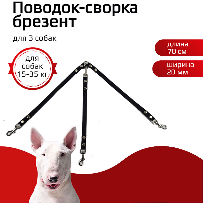 

Сворка для собак Хвостатыч, брезент, черный, 70 см х 20 мм