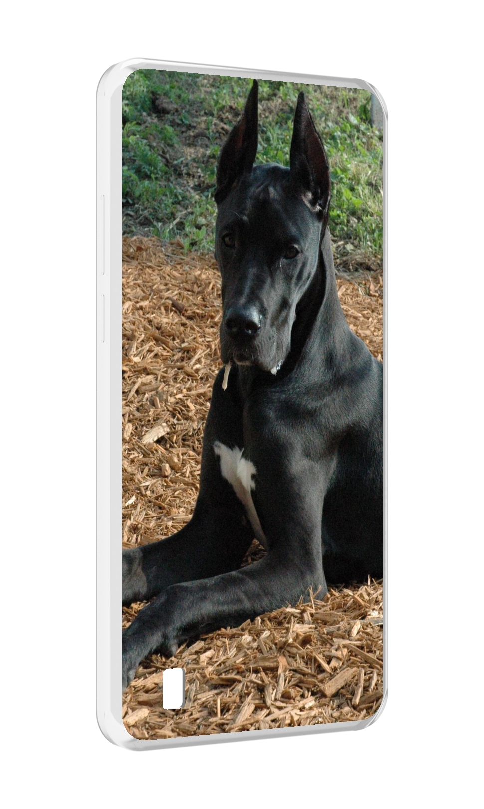 

Чехол MyPads немецкии дог для Blackview A55, Прозрачный, Tocco